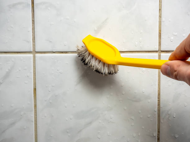 Best Affordable Mold Removal  in Timberlane, IL