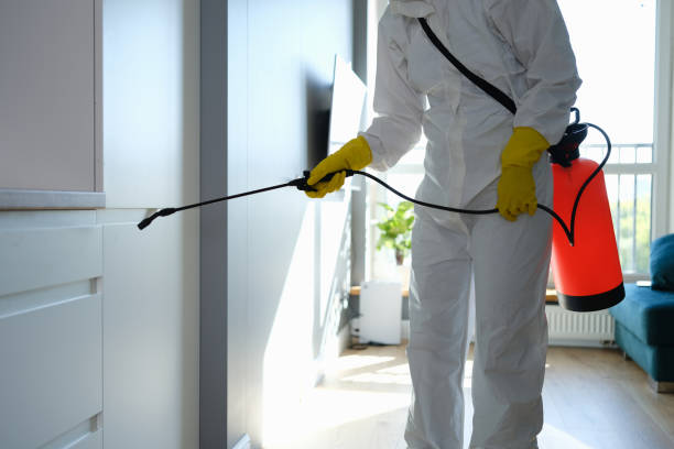 Certified Mold Removal in Timberlane, IL