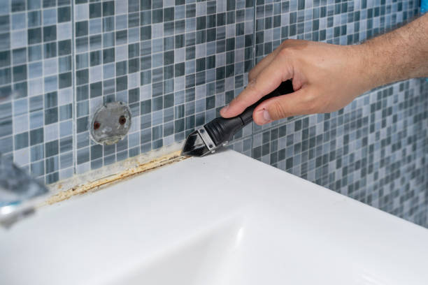 Best Mold Cleaning Services  in Timberlane, IL